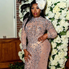 Robe longue queue de poisson opulente à col montant et bordure en fausses plumes en maille transparente