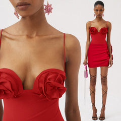 HANNA RED BODYSUIT and Skirt with ROSE BOWS 2 PIECE SET