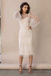 Robe ajustée transparente brodée