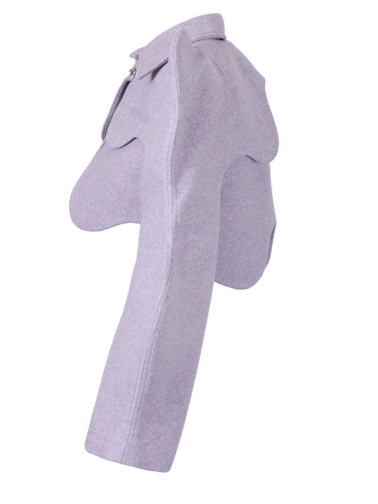 SHORT PURPLE 2 PIECE Jacket with PUFF SleeveS