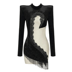 Sparkly Embellished Fringe Swan High Neck Long Sleeve Sheer Mesh Velvet Mini Dress