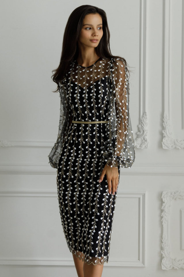 Embroidered Sheer Fitted Dress